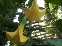 BILD1034.webp