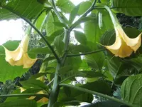 BILD1033.webp