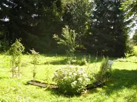DSCI0747.webp