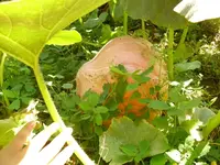 DSCI0751.webp