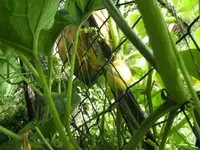 BILD0912.webp