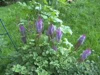 BILD0885.webp