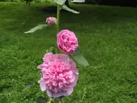 BILD0965.webp