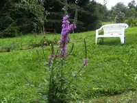 BILD0966.webp