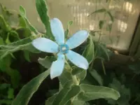 k-DSCF0431.webp
