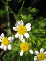 IMG_7120.webp