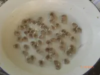 CIMG2750.webp