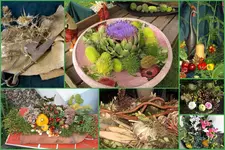 Herbst26.webp