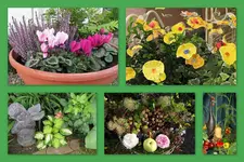 Herbst27.webp