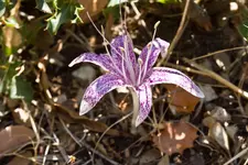 4.10.11 (2 von 14).webp