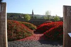 Bingen am Rhein, von 30.09-03.10 (5).webp