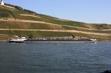 Bingen am Rhein, von 30.09-03.10 (86).webp