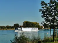 DSC02374.webp