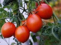 5_10_III.webp