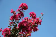 IMG_1962.webp