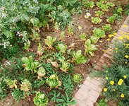 5_10_VIII.webp