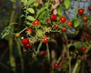 5_10_X.webp