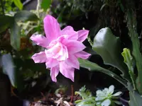 IMGP4745.webp