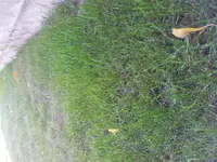 2011-10-03 16.22.29.webp