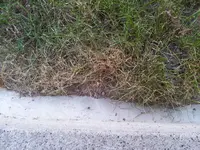 2011-10-03 16.22.49.webp