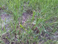 2011-10-03 16.22.57.webp