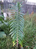 20110925_0191.webp