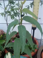 DSC00821.webp