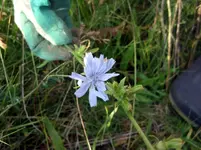 SN859415.webp