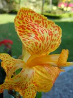 015.webp