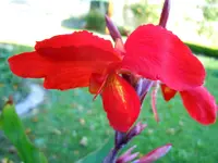 016.webp