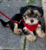 coco außen.webp