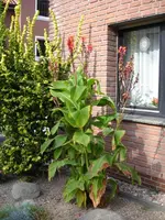 DSC06379.webp