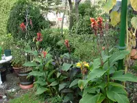 DSC06380.webp