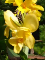 DSC06376.webp