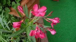 K800_7.Okt.2011 049.webp