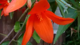K800_7.Okt.2011 074.webp