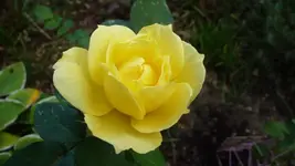K800_7.Okt.2011 080.webp
