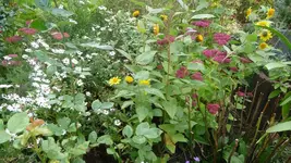 K800_7.Okt.2011 070.webp