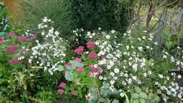 K800_7.Okt.2011 071.webp