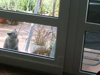 DSCF6183.webp