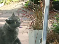 DSCF6185.webp