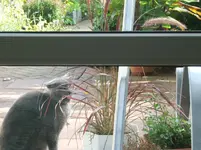 DSCF6186.webp