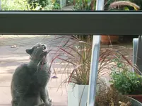 DSCF6187.webp