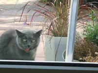DSCF6184.webp