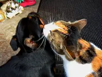 CharlyMieze-03-10-2011-005.webp