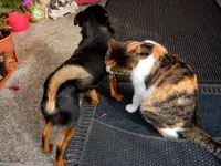 CharlyMieze-03-10-2011-007.webp