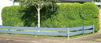 Wolkenhecke1_kleiner.webp