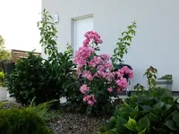DSCF1244.webp