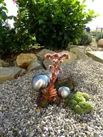 DSCF1364.webp