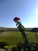 DSCF1370.webp